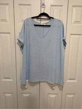 A Baby Blue V-Neck Textured Top
